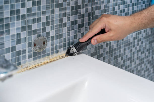 Best Fast Mold Removal  in Locust Grove, OK